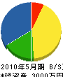 滋賀ライン工業 貸借対照表 2010年5月期