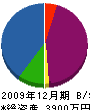 タイキ電気工業 貸借対照表 2009年12月期