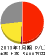 江沢建設 損益計算書 2013年1月期