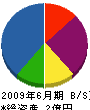 松浪産業 貸借対照表 2009年6月期