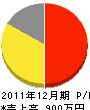 濱嶋造園 損益計算書 2011年12月期
