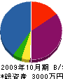 ヤナセ建設 貸借対照表 2009年10月期