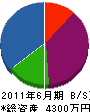 竹内電気 貸借対照表 2011年6月期