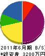 塩沢電機 貸借対照表 2011年6月期