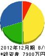 東田組 貸借対照表 2012年12月期