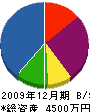 日本電気設備 貸借対照表 2009年12月期