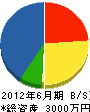 村松都市開発 貸借対照表 2012年6月期