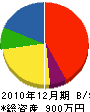 甲子園電気 貸借対照表 2010年12月期