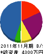 大島電工 貸借対照表 2011年11月期