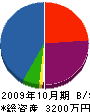 庄嶋塗装 貸借対照表 2009年10月期