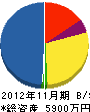 田中設備工業 貸借対照表 2012年11月期