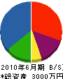 塩田塗装工業 貸借対照表 2010年6月期