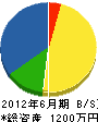 智俊工業 貸借対照表 2012年6月期