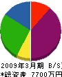 笹木建築事務所 貸借対照表 2009年3月期