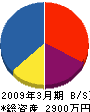 公園沖縄 貸借対照表 2009年3月期