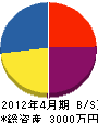 橋本設備 貸借対照表 2012年4月期