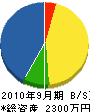 齋藤園芸 貸借対照表 2010年9月期