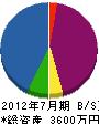 丸三水道工業所 貸借対照表 2012年7月期