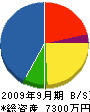 関城化学工業所 貸借対照表 2009年9月期