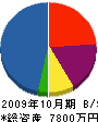 森尾興発 貸借対照表 2009年10月期