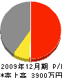 長谷川電気商会 損益計算書 2009年12月期
