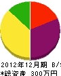 栃木県同和連合建設 貸借対照表 2012年12月期