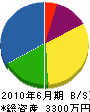 新田電機 貸借対照表 2010年6月期