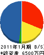 ハマグリーン 貸借対照表 2011年1月期