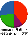 大龍産業 貸借対照表 2008年11月期