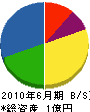 ヘッグ 貸借対照表 2010年6月期