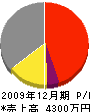 ハシモトハウス 損益計算書 2009年12月期