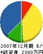 安田組 貸借対照表 2007年12月期