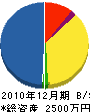 西澤電工 貸借対照表 2010年12月期