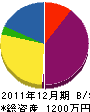 青山電気商会 貸借対照表 2011年12月期