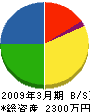 亀井動力工業 貸借対照表 2009年3月期