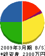 亀井動力工業 貸借対照表 2009年3月期 亀井動力工業 貸借対照表 2009年3月期