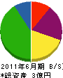 沼崎商事 貸借対照表 2011年6月期