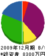 ウチダ 貸借対照表 2009年12月期