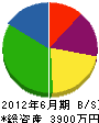 和田建設工業 貸借対照表 2012年6月期