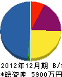 川岸電気工事 貸借対照表 2012年12月期