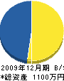 田尻工務店 貸借対照表 2009年12月期