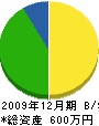川村工務店 貸借対照表 2009年12月期