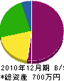 佐々木塗装店 貸借対照表 2010年12月期