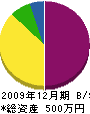 新居田工業 貸借対照表 2009年12月期