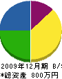 武元工務店 貸借対照表 2009年12月期