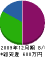 山壱水道 貸借対照表 2009年12月期