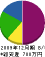 佐藤興業 貸借対照表 2009年12月期