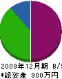 新栄電気 貸借対照表 2009年12月期