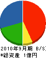 松田総合建設 貸借対照表 2010年9月期