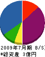 明成総建開発 貸借対照表 2009年7月期